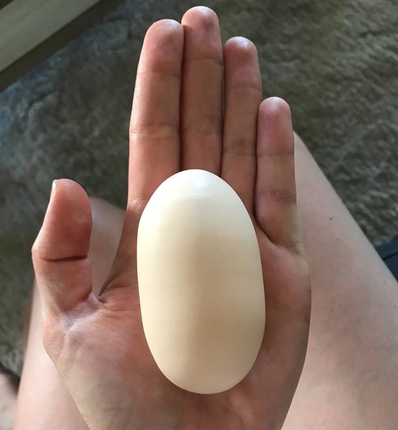Курица снесла яйцо без скорлупы в пленке — причины