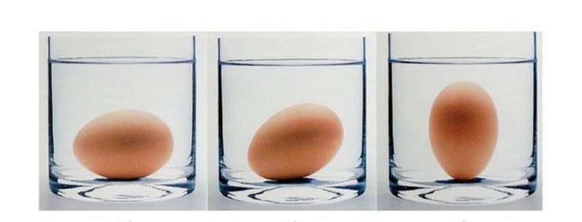 Как определить свежесть куриного яйца дома или при покупке
