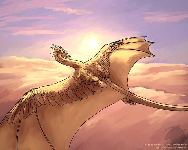 Порода голубей драконы: летные и декоративные характеристики