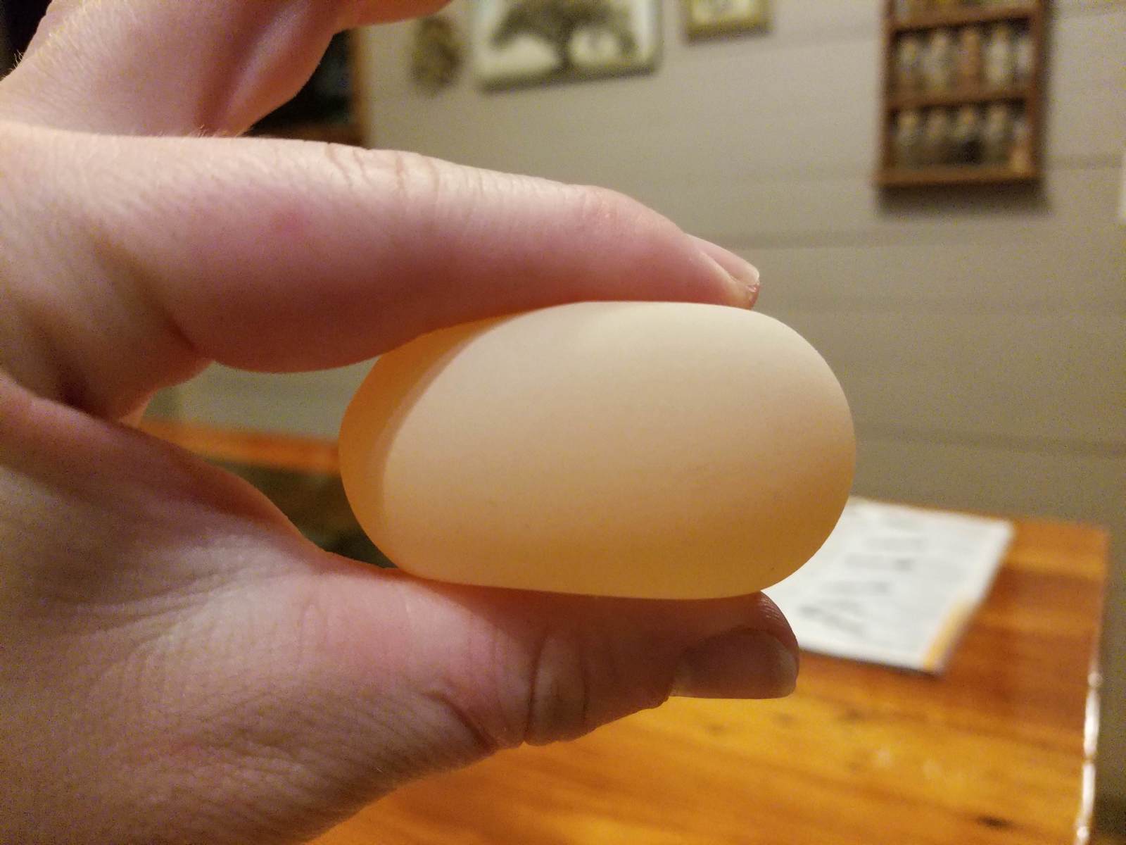 Почему куры несут яйца с мягкой скорлупой