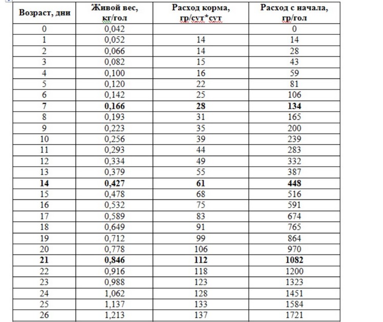 Вес бройлеров по дням таблица и факторы
