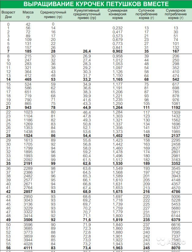 Таблица веса бройлера по дням с рождения по второй месяц жизни: правила взвешивания, нормы набора массы для разных кроссов