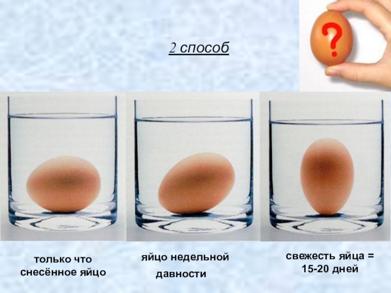 Как проверить свежесть куриного яйца в домашних условиях с помощью воды и других способов?