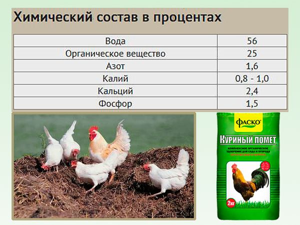 Куриный помет в гранулах: состав, инструкция по применению, рейтинг лучших торговых марок