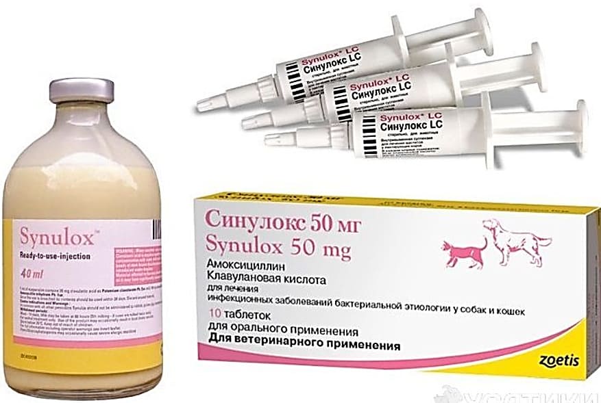 Пульмокит – инструкция по применению в ветеринарии, показания, побочные эффекты
