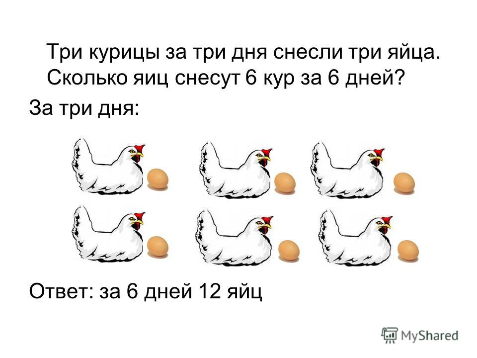 Сколько яиц несет курица несушка в день, в неделю, в месяц и год