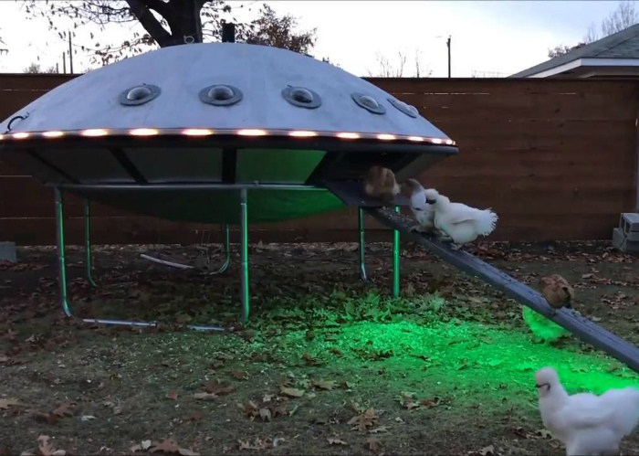 Курятник НЛО — пошаговое строительство с фото и видео