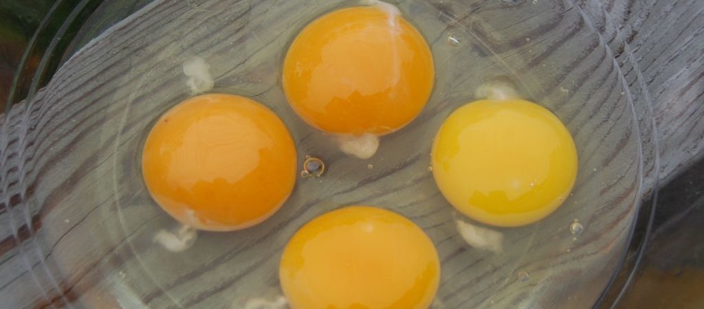 Можно ли замораживать сырые куриные яйца впрок и как это правильно сделать?
