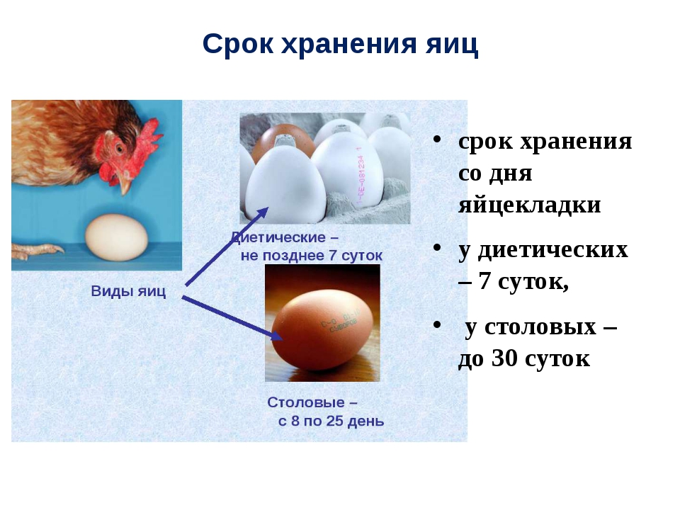 Срок куриных яиц. Срок хранения куриных яиц. Срок годности яиц. Сколько хранятся яйца. Срок яйца куриного.