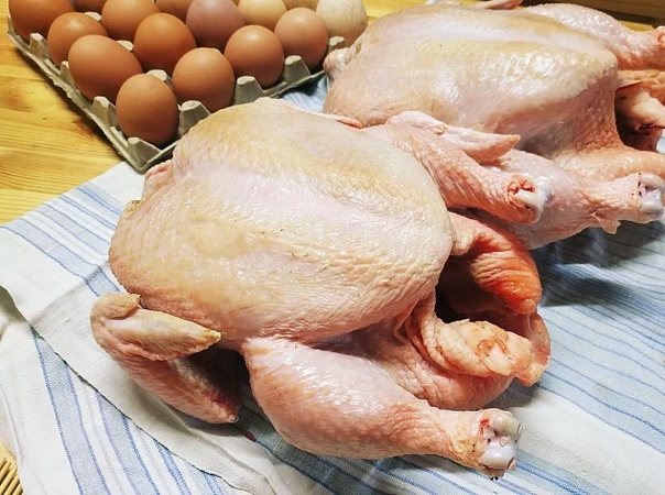 Цыпленок корнишон и бройлер: в чем отличия?