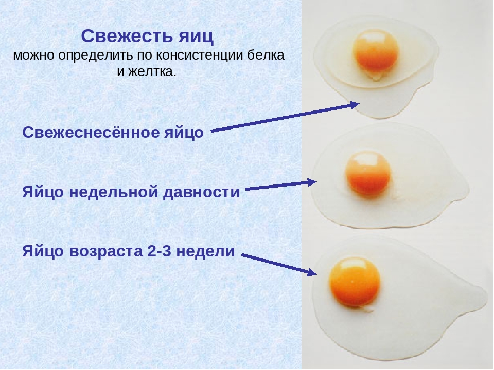 Кровь и сгустки в курином яйце: почему и можно ли его есть? Причины, меры профилактики