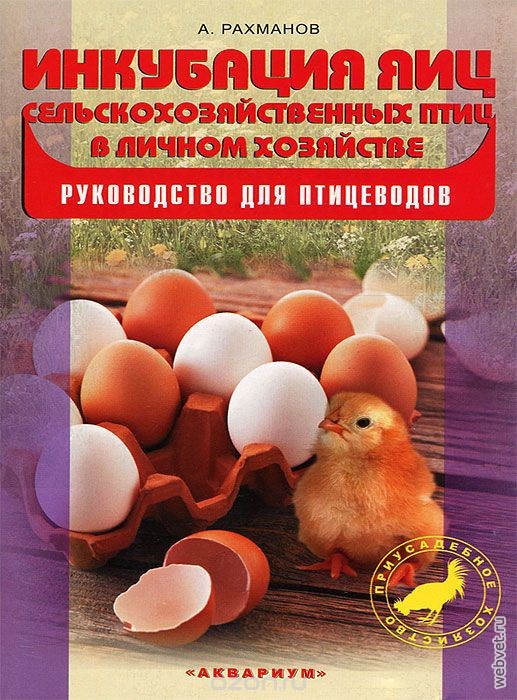 Инкубация яиц домашней птицы, как бизнес в деревне