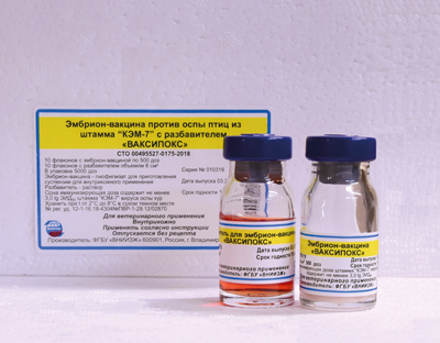 Акаривак: инструкция по применению и разведению вакцины против спирохетоза птиц