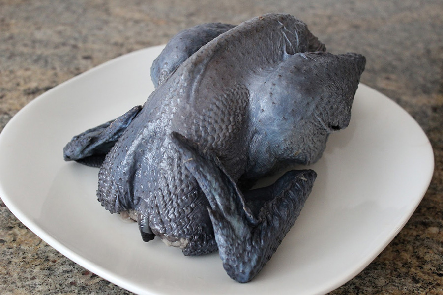 Синь синь дянь - мясо-яичная порода кур. Описание, характеристики, уход и кормление, инкубация
