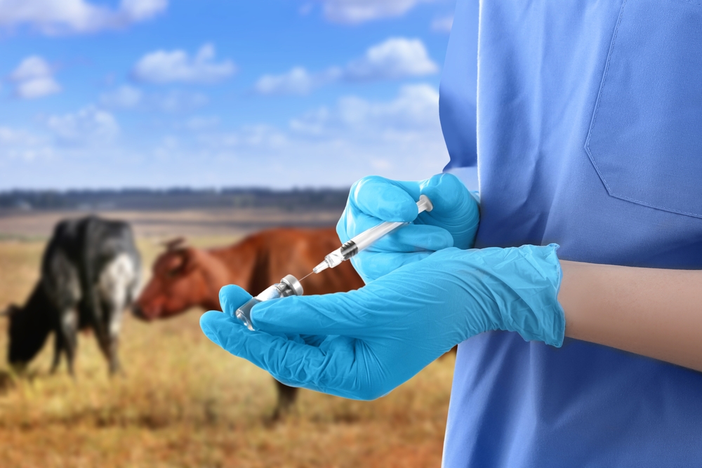 Ветримоксин 50% – инструкция по применению в ветеринарии, цена