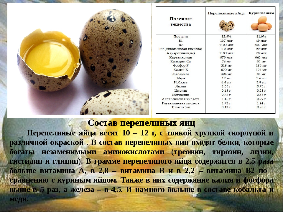 Яйца перепелки – в чем заключаются польза и возможный вред