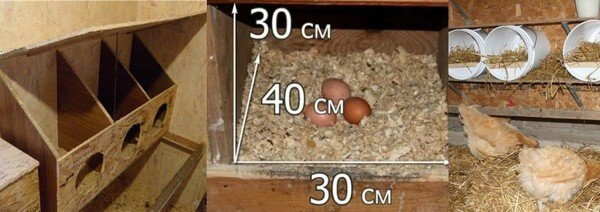 Как сделать гнезда для кур-несушек своими руками