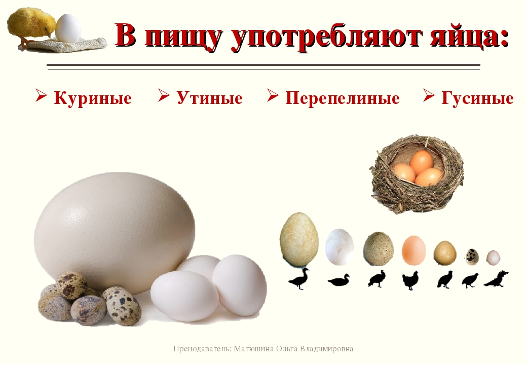 Как заставить кур откладывать яйца?