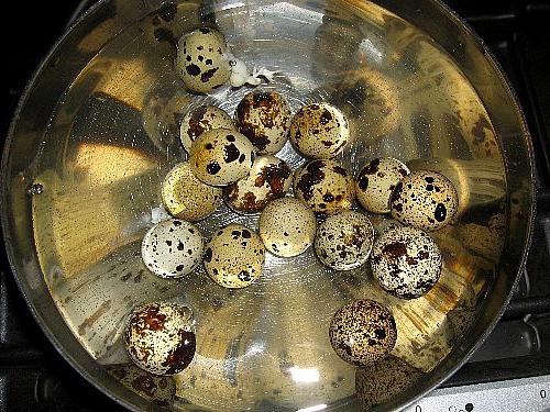 Сколько варить яйца перепелки – для получения всмятку, вкрутую