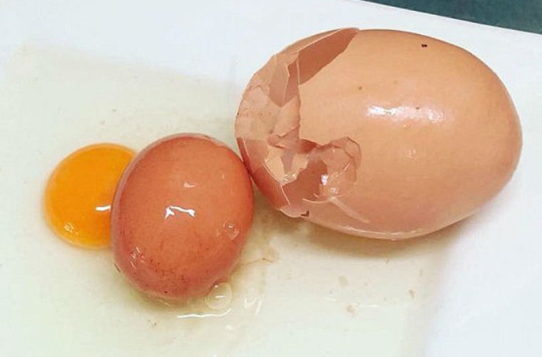 Двойное яйцо у курицы: что это за явление и можно ли его предотвратить?