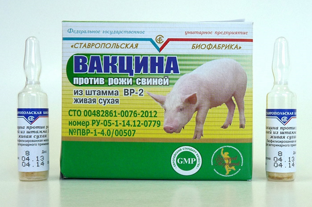 Пневмостоп-О: инструкция по применению в ветеринарии, дозировки для кур и свиней
